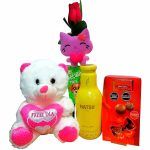 Regalo fit