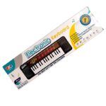 Organeta electronica